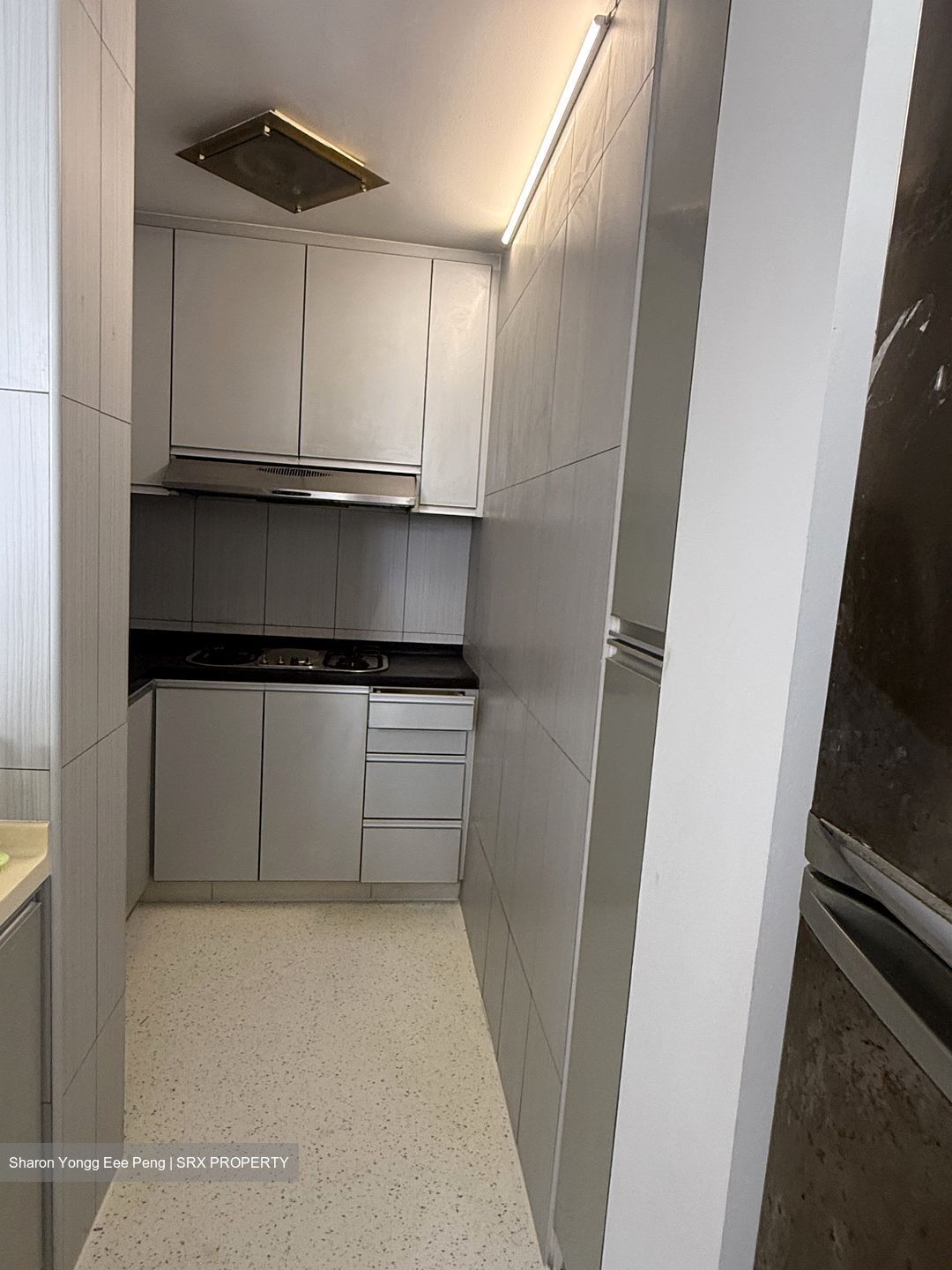 Evergreen View (D14), Apartment #523402391